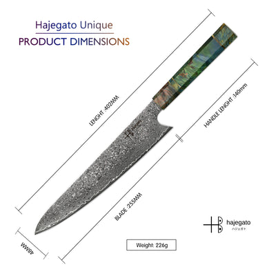 Unique Damascus 10 inch Japanese Gyuto Chefs Knife